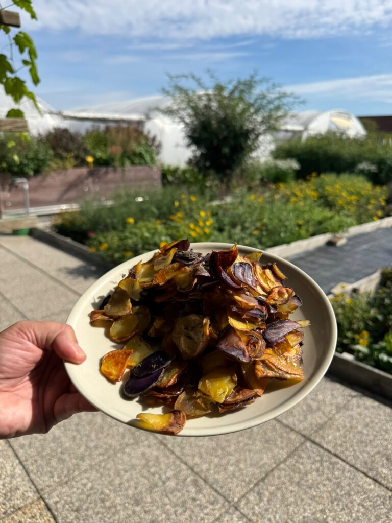 Gebratene Kartoffeln